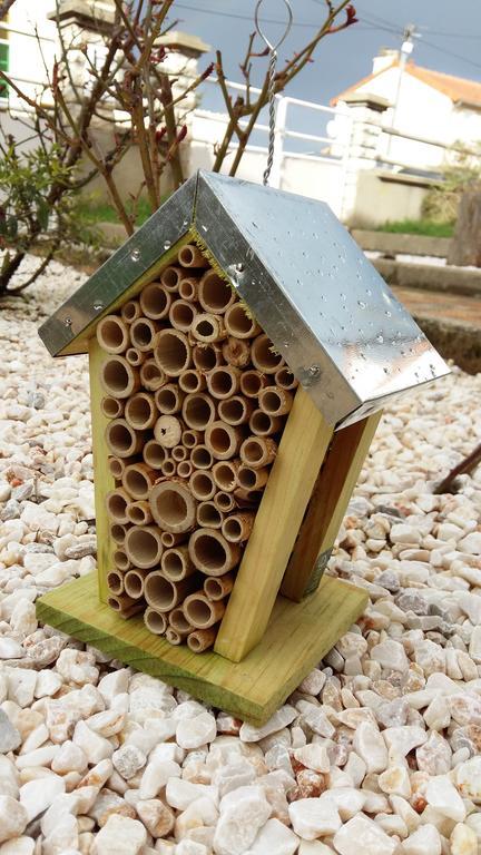 Authentique Gite 1950 Poitiers Futuroscope Aquascope, 1A9Prsn, 3 Pkg, 3 Etoiles A 6Prsn Et 3 Appoints Eco-Responsable Экстерьер фото